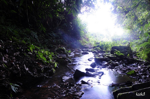 Những d&ograve;ng suối đẹp duy&ecirc;n d&aacute;ng ở T&acirc;y Bắc